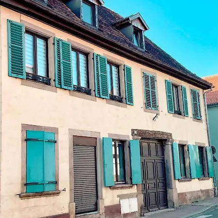 Lorelei Centre 2 A 4 Personnes Daire Obernai